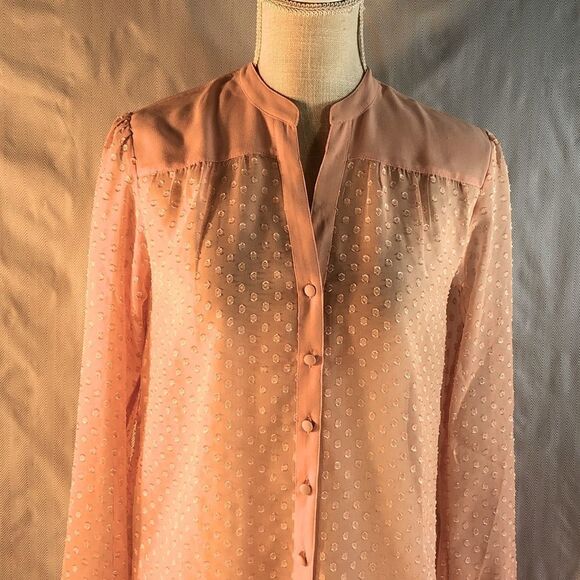 Ann Taylor Shear Pink Textured Button Down Long Sleeve Blouse XS - Picture 3 of 11